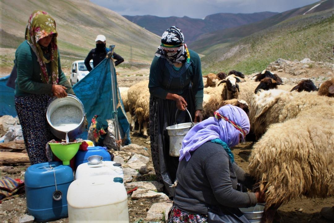 Son berivanların zorlu mesaisi