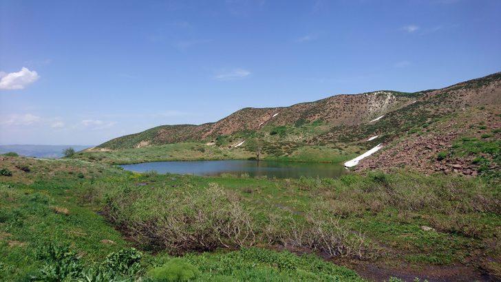 2 bin 700 metre rakımda ışkın topluyorlar G1