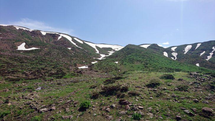 2 bin 700 metre rakımda ışkın topluyorlar G3