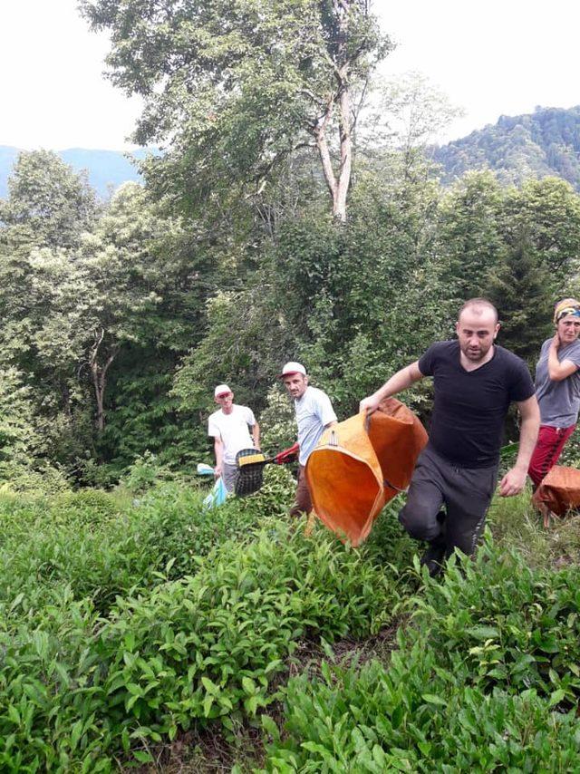 'Çaya Geliyoruz' projesi ile şehit annesinin çay hasadını yaptılar