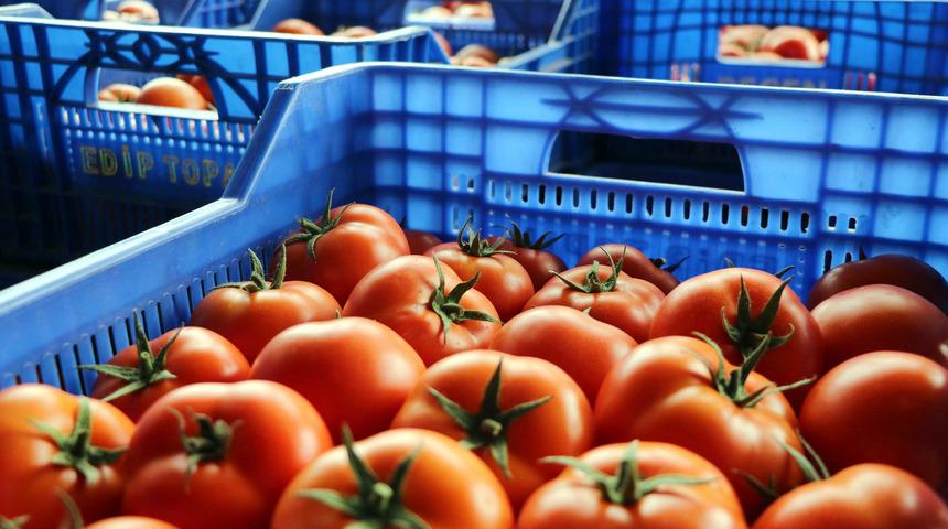 Fiyatı d&uuml;şen domatese 'taban fiyat' teklifi