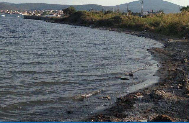 İzmir Valiliği'nden Urla ve Seferihisar'daki barınaklara onay