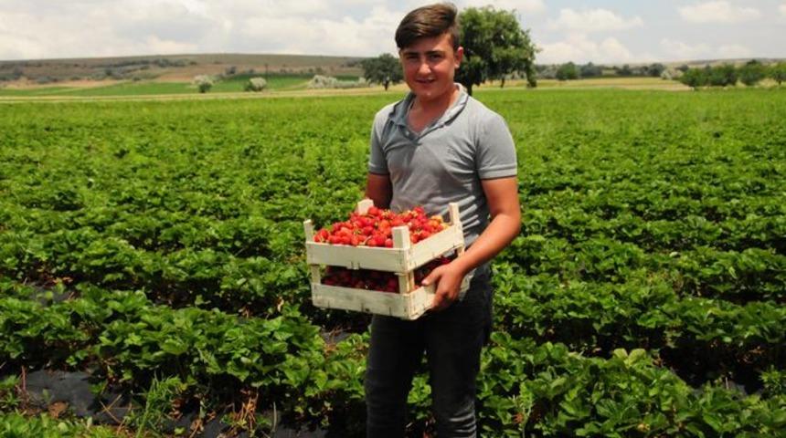  Nevşehir'den Arap &uuml;lkelerine &ccedil;ilek ihracı
