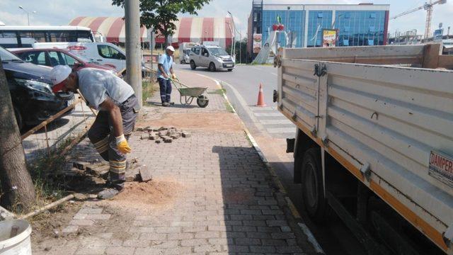 Körfez’de çevre çalışmaları devam ediyor