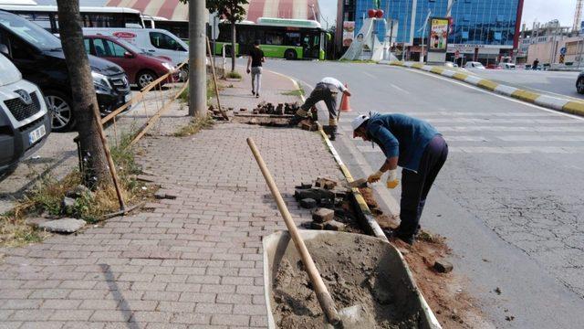 Körfez’de çevre çalışmaları devam ediyor