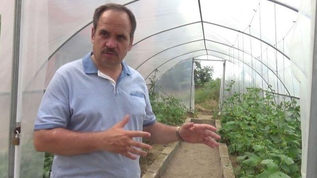 Okulda yerli tohum üretiyorlar