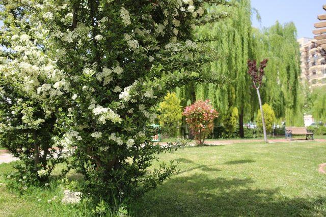 Karaköprü’de parklarda onarım atağı