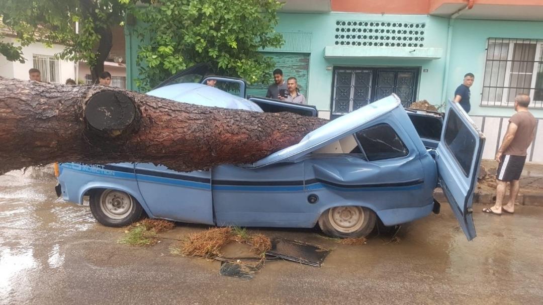 Venedik değil, Nazilli