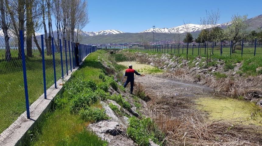 Tatvan Belediyesinden sivrisinekle mücadele çalışması