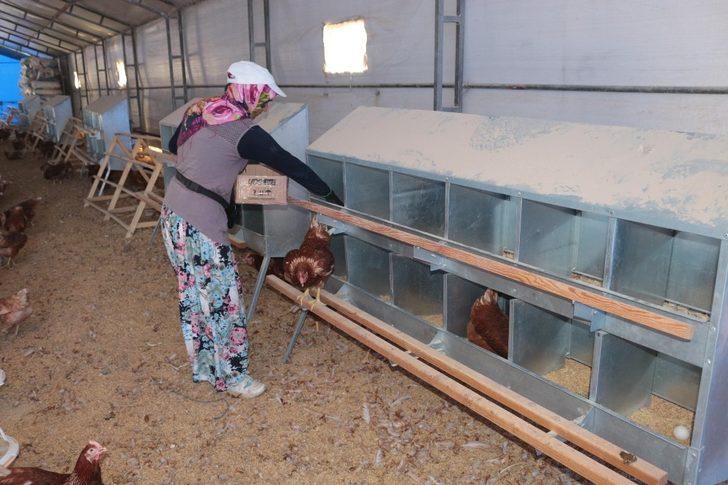 (Özel) Akademik yumurtalar satışa çıkıyor G2