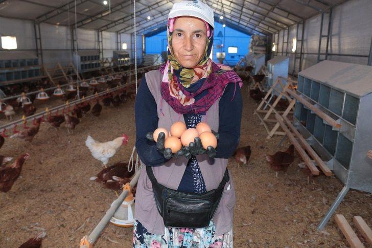 (Özel) Akademik yumurtalar satışa çıkıyor G3