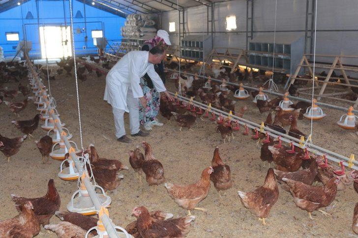 (Özel) Akademik yumurtalar satışa çıkıyor G5