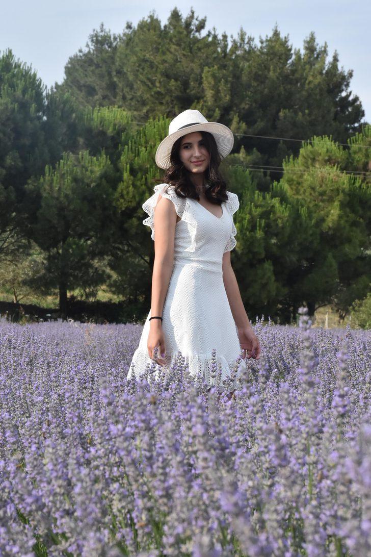  Mor tarlalarda hasat şenliği yapılacak G3