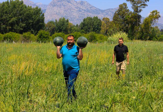 500 ton karpuz elinde kalan çiftçi: Bu yıl da evde kaldım