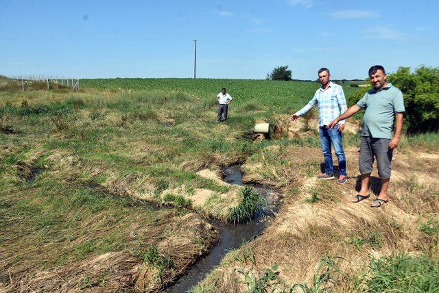 Kırklareli'de çiftlik atıklarının göleti kirlettiği iddiası