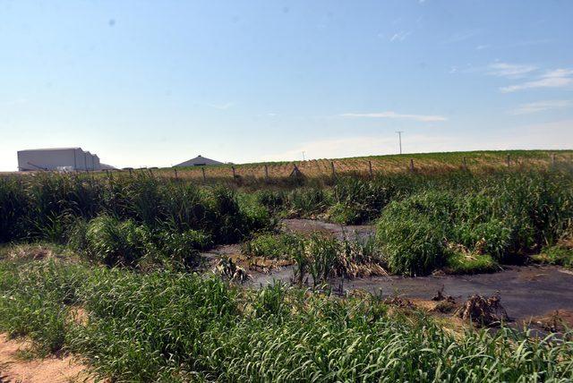 Kırklareli'de çiftlik atıklarının göleti kirlettiği iddiası