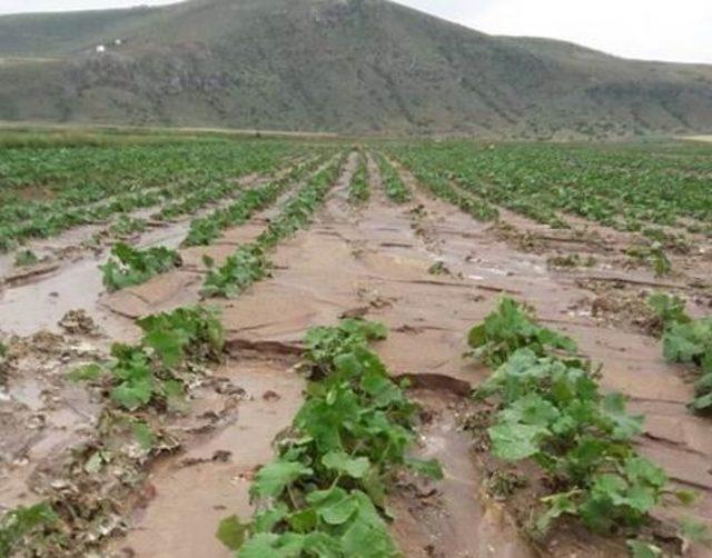 Sağanak yağışlar köyleri vurdu