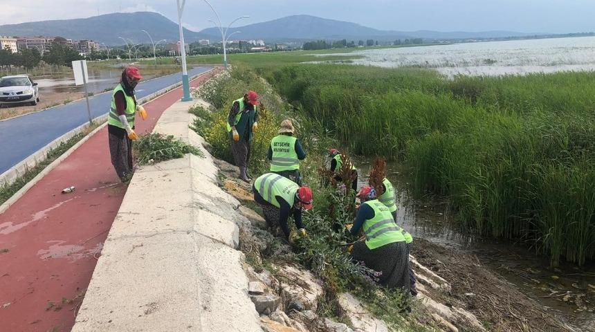 Beyşehir Belediyesinden g&ouml;l kıyılarında yabani ot mesaisi
