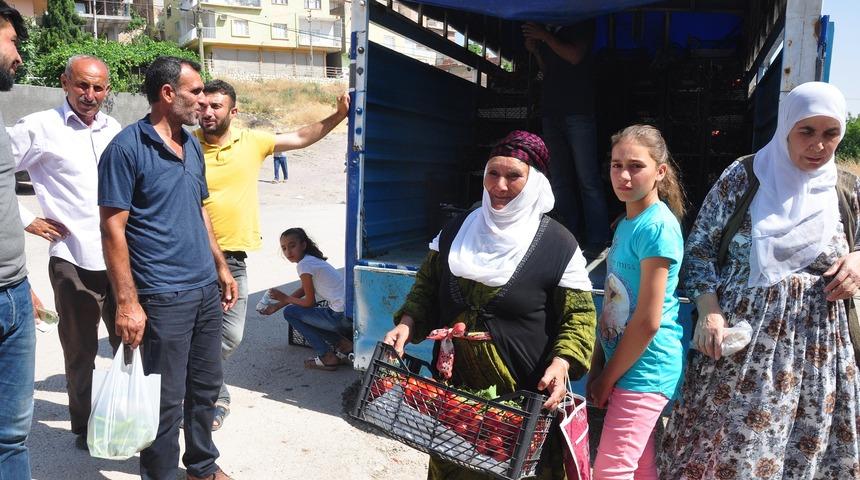 Kilosu 1 liradan satılan domatesten kasa kasa aldılar