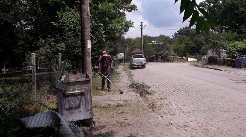 Yabani ot temizliği Balamba Caddesi&rsquo;nde devam etti