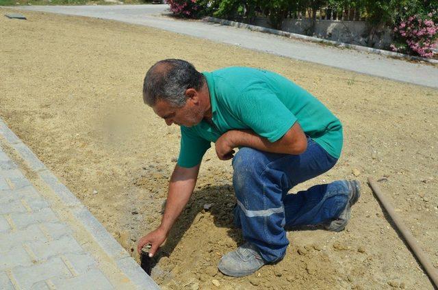 Kuşadası Belediyesi 3 yeni park yapacak