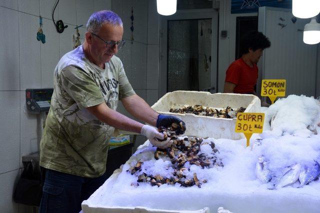 Karadeniz’de küflü sezonu