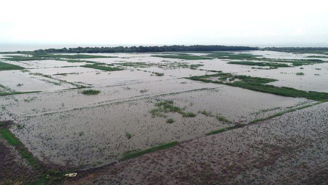 Bandırma ve Karacabey'de binlerce dönüm tarım arazisi su altında kaldı
