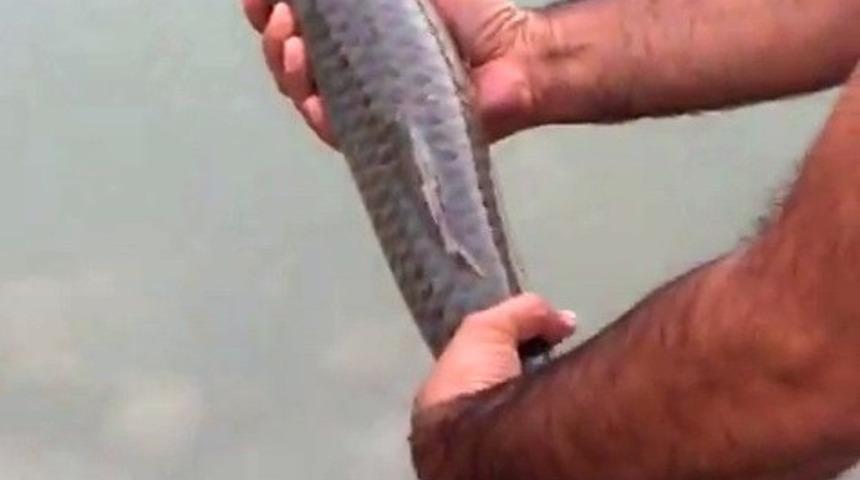 Ka&ccedil;ak avcılara ge&ccedil;it yok