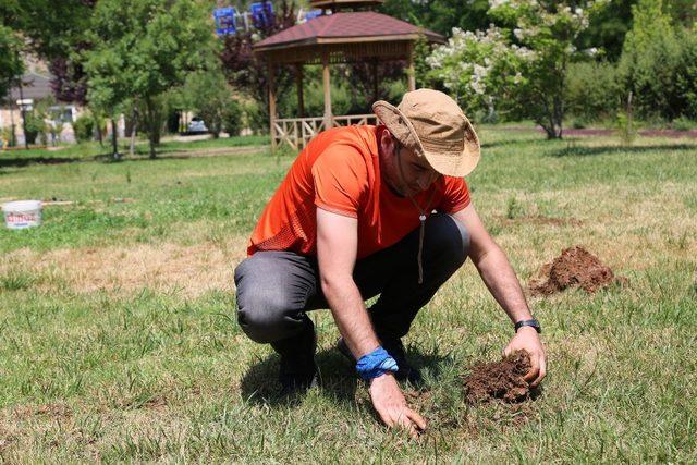 Gezgin oldu, il il gezip fidan dikiyor