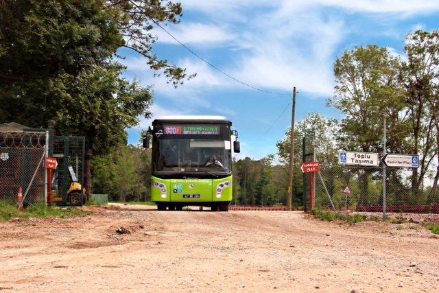 Kocaeli’de plajlara otobüs seferleri başladı