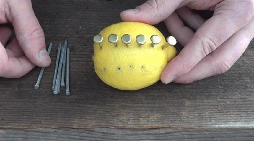 Denerken dikkat edin! Limonun üzerine birkaç adet çivi saplayın ve ne olacağını görün