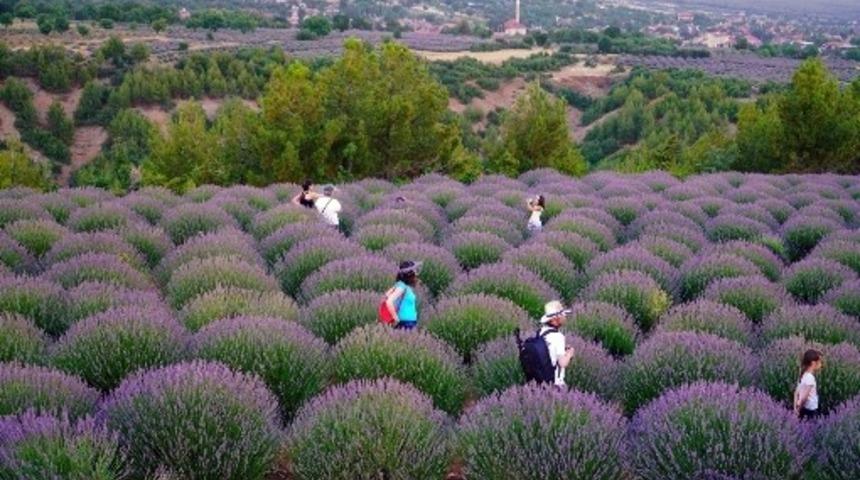 Isparta’da Lavanta Günleri hazırlık toplantısı