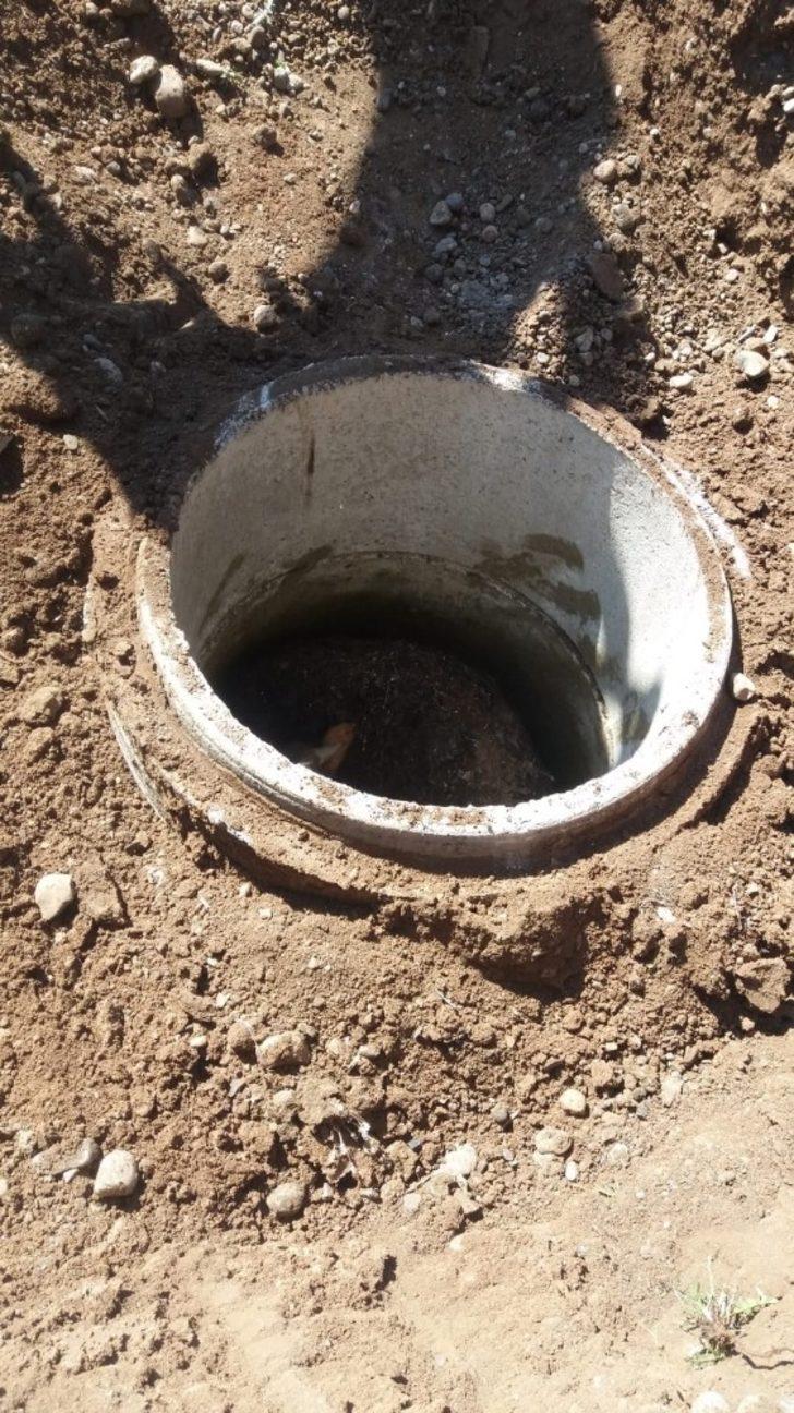 Ağrı’da kuyuya düzen dana itfaiye ekipleri tarafından kurtuldu G1