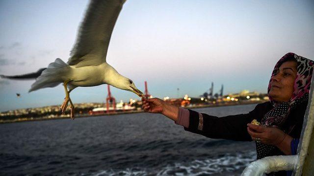 İstanbul se&ccedil;imi: Ekrem İmamoğlu ve Binali Yıldırım ın vaatleri neler? 6