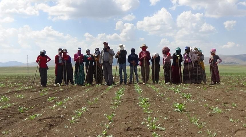 Mevsimlik iş&ccedil;ilerin sıcakta &ccedil;apa mesaisi