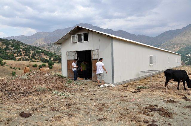 Atanamayınca ipek böceği işine girdiler, aylık 20 bin lira kazanıyorlar