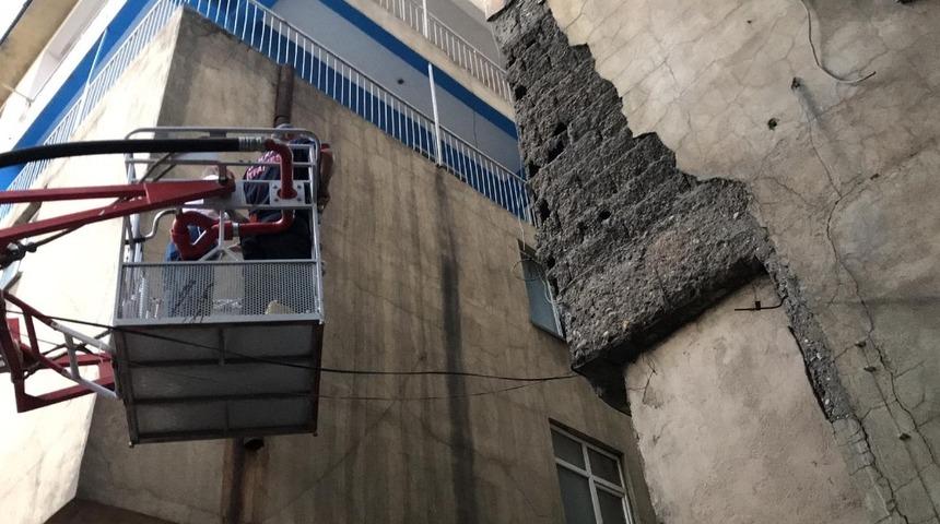 Yuvadan d&uuml;şen yavru ser&ccedil;eler i&ccedil;in seferberlik