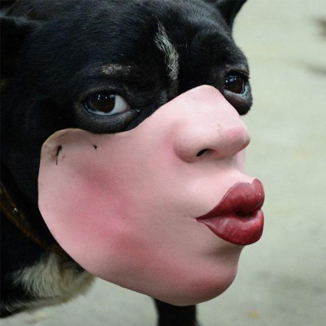 creepy-human-face-masks-dog-muzzles-amazon-1-5d038427be452__700