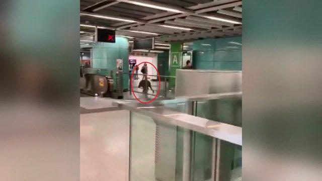 Çin’de metro istasyonuna giren yaban domuzu, kadını yaraladı