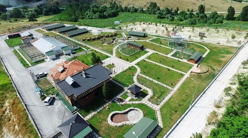 K&uuml;tahya Belediyesi&rsquo;nden sokak hayvanlarına 7/24 sağlık hizmeti