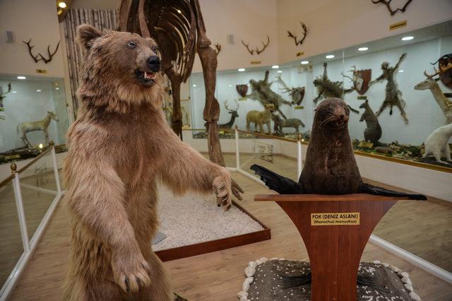 &Uuml;niversitelilere m&uuml;zede eğitim 2