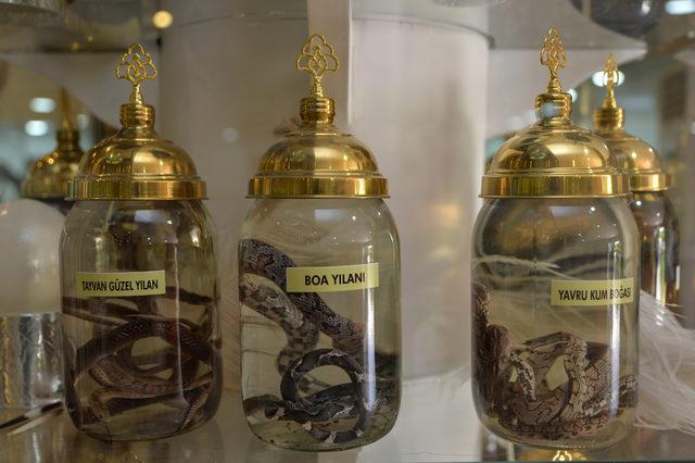 &Uuml;niversitelilere m&uuml;zede eğitim 4