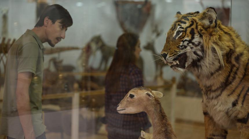 &Uuml;niversitelilere m&uuml;zede eğitim