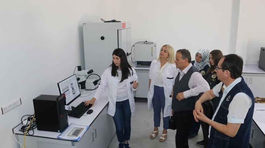 Faydalı b&ouml;ceklerle ormanlar koruma altında