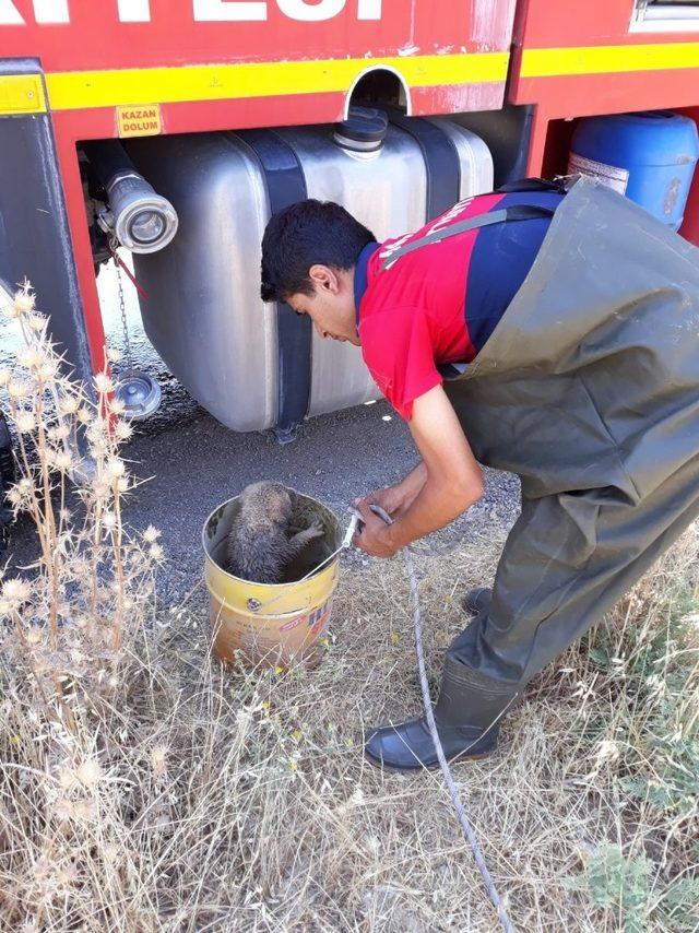 Rögara düşen yavru köpek, itfaiye ekipleri tarafından kurtarıldı 2