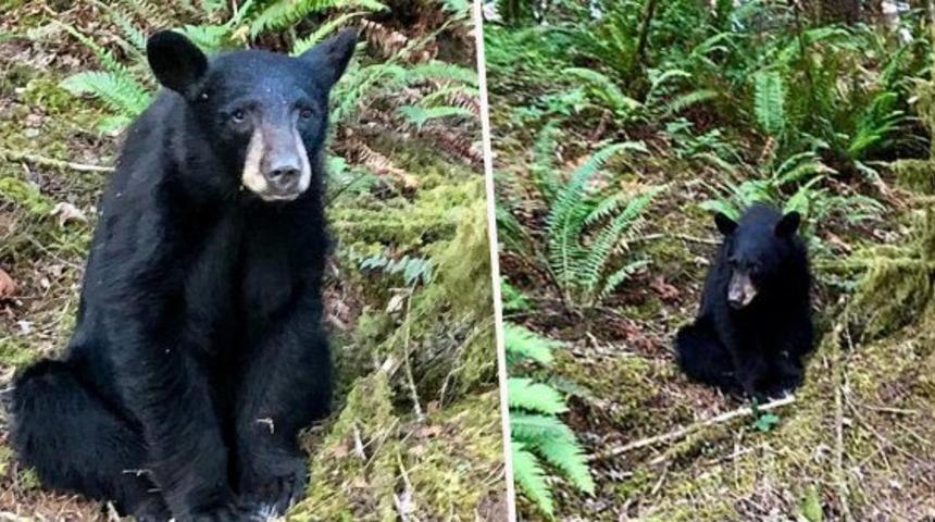 Alışkanlığı sonu oldu! Görevliler tarafından vurularak öldürüldü