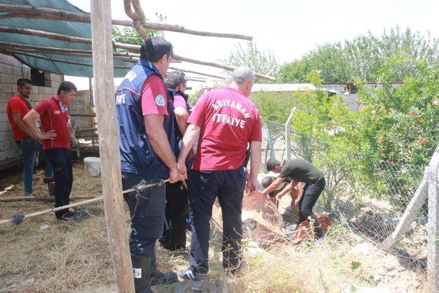 Kuyuya düşme olayına giden ekipler doğum vakasıyla karşılaştı