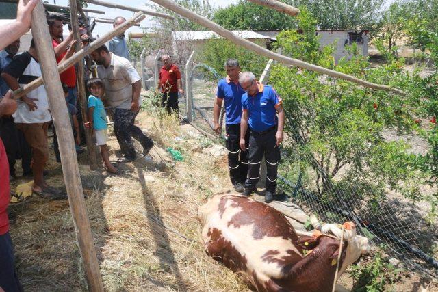 Kuyuya düşme olayına giden ekipler doğum vakasıyla karşılaştı