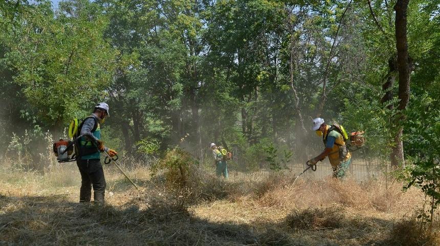 Yenişehir’deki fidanlık alanında hummalı temizlik çalışması