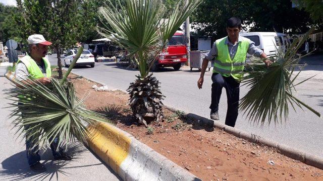 Adıyaman’da refüj düzenlemesi